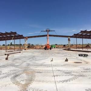 Meet your Posher, Stevie